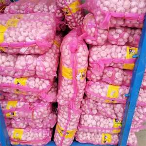 Bawang Putih Segar Murni atau Normal Sayuran Segar Harga Grosir Alho Ail Ajo Ajo Diekspor Dari Cina - Product Image 5