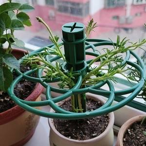 <span class=keywords><strong>Support</strong></span> moderne en plastique en forme de tournesol <span class=keywords><strong>pour</strong></span> plantes grimpantes avec plateau cylindrique – Outils de jardinage <span class=keywords><strong>pour</strong></span> la plantation de fraises et supports - Product Image 5