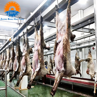 Peralatan Rumah Potong Hewan Halal Solusi Satu Atap untuk Domba dan Kambing, Mesin Pengolahan Daging, Harga Pabrik