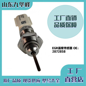 Capteur de température ambiante EGR 2872858 pour moteur Cummins ISF3.8 - Product Image 5