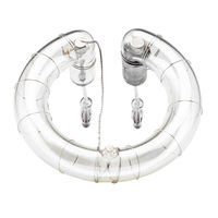 Tube flash d'origine neuf 150W/160W/200W/SK400/DE400/600W/800W, ampoule nue, remplacement Godox pour accessoires de studio photo