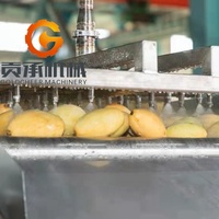 China Fabriek Prijs Goede Kwaliteit Compleet Vers Fruit Pulp Puree Productie Plant