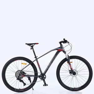 Bicicleta de Montaña para deportes, nuevo modelo de 29 pulgadas, suspensión, 1x10 velocidades, 1x12