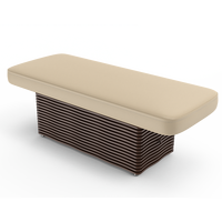 Mobilier de salon électrique moderne Ness-D, table de massage en cuir artificiel pour soins du visage et beauté du visage, lit électrique avec base en bois