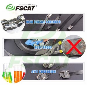 FSCAT 304不锈钢金属拉链扎带300毫米100件重型250LB多用途机械车 - Product Image 5