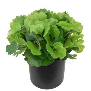 Feuillage Artificiel Mural Personnalisable – Plantes Vertes Esthétiques Modernes pour Pergola – Fleurs et Feuilles Artificielles - Product Image 4