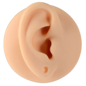 Мягкая силиконовая модель уха с перфорированной прозрачной витринной стойкой, модные ювелирные изделия, пирсинг, силиконовая базовая модель пирсинга - Product Image 3