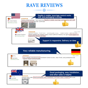 맞춤형 12W 로고 코브 라이트 트림리스 눈부심 방지 투야 SAA 매립형 천장 LED 스포트라이트 다운라이트 (레스토랑용) - Product Image 5