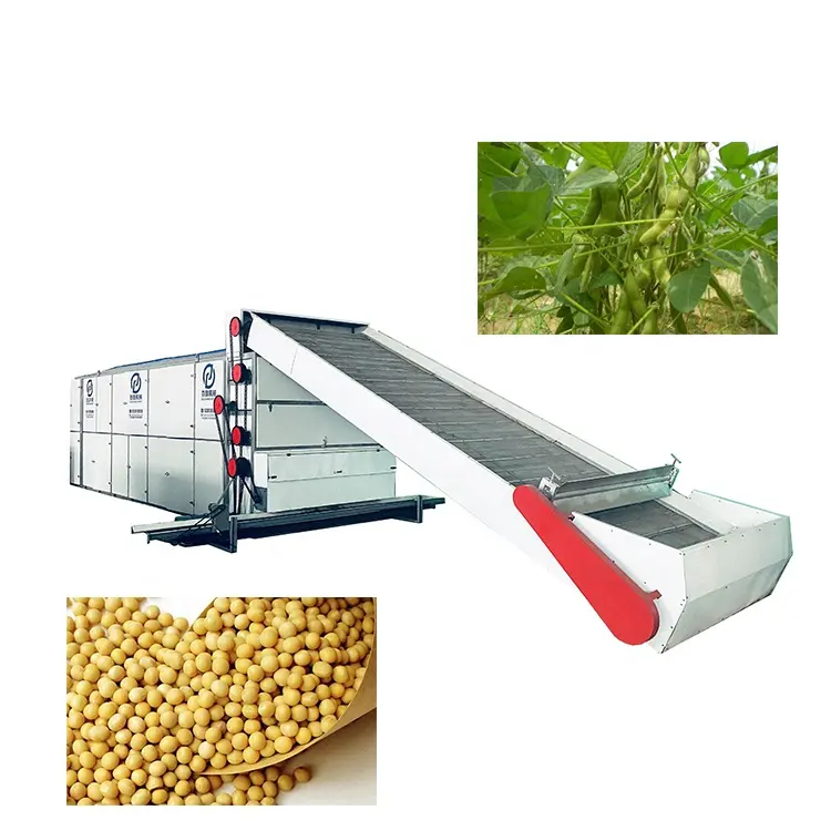 Industrial food moringa leaves Drying Machine yellow bean Soybeans hot air continuous belt Dryer Machine