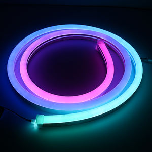 DC12V/24V PVC Neon Flex Tube <strong>Flexible</strong> <strong>LED</strong> Strip IP66 <strong>Waterproof</strong> Landscape Decoration Bendable <strong>Lights</strong> - Product Image 1