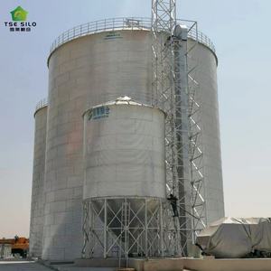 ไซโล<span class=keywords><strong>ข้าว</strong></span>เหล็กชุบสังกะสีคุณภาพสูง TSE TCK 2000T แบบก้นแบน สำ<span class=keywords><strong>ห</strong></span>รับฟาร์มสุกร รับประกัน 1 ปี - Product Image 5