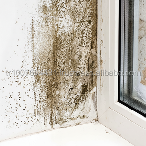 Pintura de pared antibacteriana resistente a hongos, pintura para casa, aplicaciones de construcción de Interior y Exterior - Product Image 1