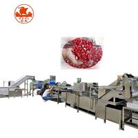 Stekelige Peer Passievrucht En Draak Fruit Schillen Arils Verwerkingsmachine Lijn Industriële Granaatappel Wassen Schilmachine