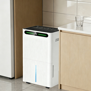 Deshumidificador de Compresor Ecológico R290 de 10L/Día, 160W, Ahorro de Energía, Portátil, Secador de Aire Eléctrico para el Hogar, Fabricante, Venta al Por Mayor ODM - Product Image 1