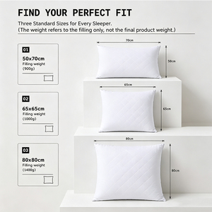 <span class=keywords><strong>Oreiller</strong></span> 50x70cm <span class=keywords><strong>65x65cm</strong></span> 80x80cm - Product Image 5