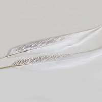 Plumes décoratives en gros à prix abordable, grandes plumes de faisan blanches teintées argentées pour l'artisanat et les festivals