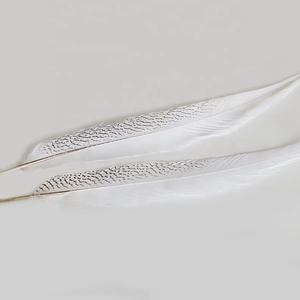 Bán Buôn Giá Rẻ Trang Trí Lông Lớn Màu Trắng Nhuộm Bạc Gà lôi Lông Cho Hàng Thủ Công Lễ Hội - Product Image 5