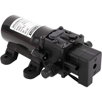 Kit de laveuse électrique de pompe de lavage de voiture à haute pression DC 12V 100W