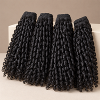Lot de Cheveux Humains Vierges Cambodgiens Grade 12A, Bouclés Pixie, Double Drawn, pour Tissage, Vente en Gros