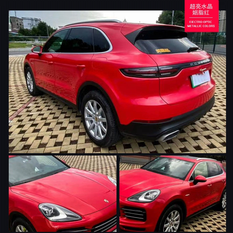 Animaux de compagnie porsche carmin