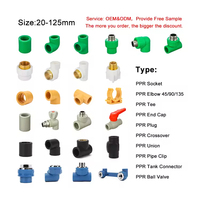 Raccords de tuyauterie PPR de haute qualité Hitze Customization pour eau chaude et froide, raccords en plastique PPR