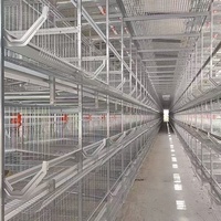 Nouvelle cage à poules pondeuses automatique à 120 places, empilable en H, avec courroie à fumier, en fil d'acier galvanisé, pour élevage avicole, garantie 2 ans