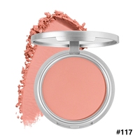 Palette de fard à joues pressé soyeux, haute pigmentation, végétalien, résistant à la transpiration, fini naturel, étui argenté, marque privée, personnalisable