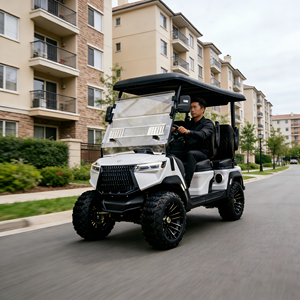 Navette de luxe de style manoir 2026, véhicule à faible vitesse à 4 places avec sièges spacieux pour les invités - Product Image 1