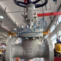 Válvula de Compuerta con Brida de Acero Inoxidable, CF8/CF8M, Vástago Ascendente, Resistente a la Corrosión de Agua, Aceite y Vapor