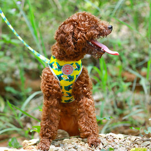 Arnés de nailon transpirable con cadena de correa de perro estilo deportivo de lujo personalizado para razas pequeñas y medianas Neopreno estampado a la moda para gatos - Product Image 5