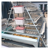 Vente en gros cage pliable en plastique pour poulets et poussins caisse de transport de volailles vivantes maison avec boîte de rangement pour volailles