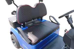 Accessoires de voiturette de golf de haute qualité Vente directe d'usine comprenant batterie et chariot poussoir - Product Image 3