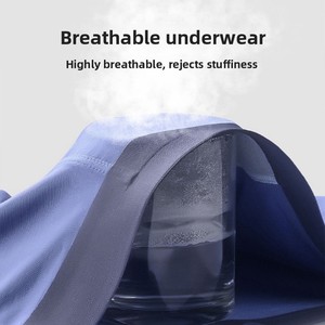 New extra Large Size Modal Underwear Men's Mid-rise Seamless Antibacterial Breathable <strong>Boxer</strong> <strong>Briefs</strong> Plus Size 4XL-6XL - Product Image 3