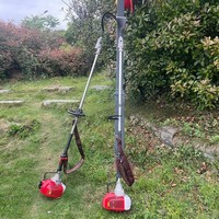 4M Palmboom Snoeitool 25.4cc 52cc Palmoogstolie Palmsnijder Machine
