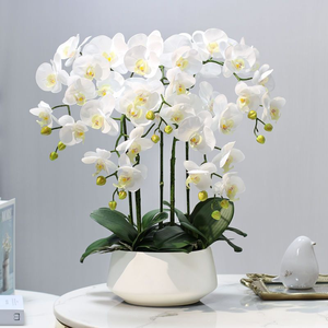 Realista <span class=keywords><strong>Oh</strong></span> Arts Jardín natural Flores de orquídeas en maceta artificiales Arreglo de orquídeas en maceta de cerámica Flor de Orquídea artificial - Product Image 2