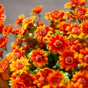 5 Bundle Look Real Full Vibrant Waterproof Artificial Outdoor <strong>Sunset</strong> Mums <strong>Flowers</strong> , Artificial <strong>Flower</strong> Fall <strong>Flower</strong> Daisy - Product Image 2