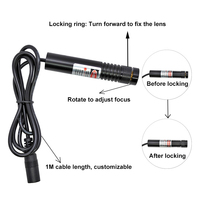 Modul Dioda Laser Titik Inframerah Xinland Baru 820nm 830nm 150mW 200mW 16x85mm Fokus Eksternal Laser IR Tak Terlihat Berdaya Tinggi