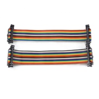 La fábrica proporciona Arco Iris personalizable Multicolor 8 10 15 20 30 40 Pin Flex paso de 2,54mm OEM/ODM uso electrónico arnés de cableado
