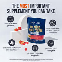 Gummies de créatine ODM/OEM 5000mg pour le soutien énergétique des adultes, complément nutritionnel sportif