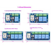 Commutateur de télécommande WiFi sans fil 12V 24V Smart Home à double mode Module relais courant 10A Max 5V Max