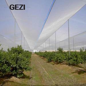 <span class=keywords><strong>Filet</strong></span> <span class=keywords><strong>anti</strong></span>-<span class=keywords><strong>grêle</strong></span> économique - Maille agricole <span class=keywords><strong>anti</strong></span>-<span class=keywords><strong>grêle</strong></span> stabilisée aux UV - Product Image 6