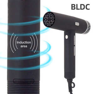 Máquina secadora eléctrica sin escobillas para salón de belleza, precio industrial, compra de cebolla, <span class=keywords><strong>profesional</strong></span>, 3000w - Product Image 3