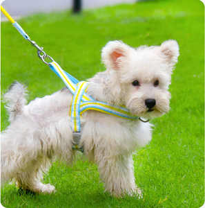 Arnés ajustable para perro, Sillín para el pecho, bonito y colorido, transpirable, de nailon, a rayas, con encaje, conjunto de arnés y correa para mascotas, <span class=keywords><strong>Collar</strong></span> antiescape para perro - Product Image 3