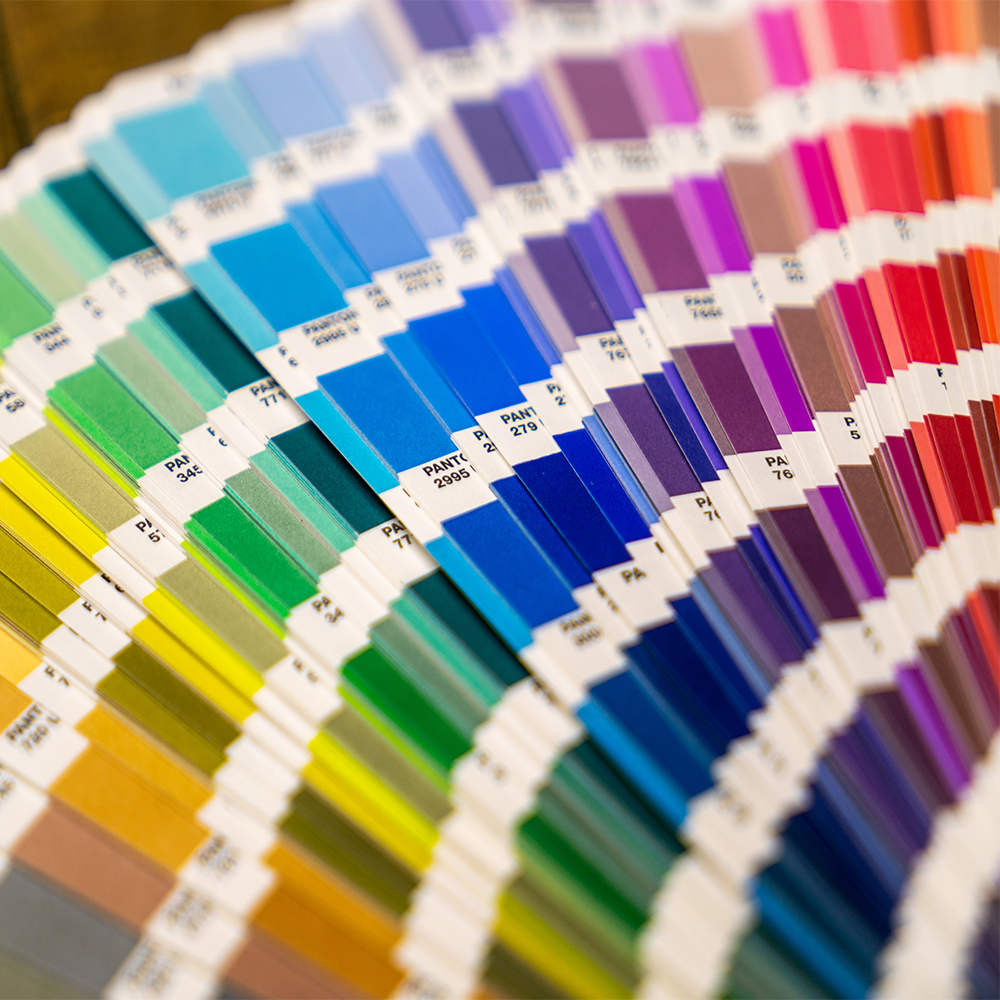 Qualsiasi colore