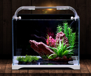 Small Gold Fish <strong>tank</strong> Glass Living Room <strong>Turtle</strong> <strong>tank</strong> Live Fish Betta <strong>tank</strong> - Product Image 2