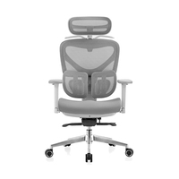 Milieu Du Dos Support Lombaire Fauteuil Visiteur Personnel De Travail Exécutif Ergonomique Chaise De Bureau