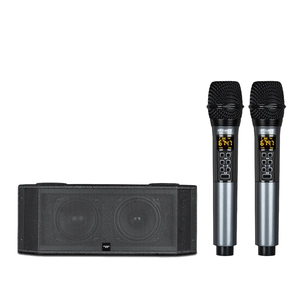BT Speaker With Mic Home Theatre System Wireless Karaoke Stage Speaker Battery Powered DJ Speaker With Double Wireless Micro