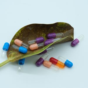 Cápsulas de Gelatina Vazias Transparentes Tamanho 0 em Promoção Quente - Product Image 2