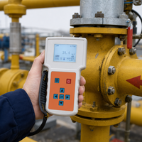 Détecteur de gaz tétrahydrothiophène portable, analyseur THT, pompe d'aspiration, détecteur de gaz naturel industriel, odeurant, sécurité, OEM, vente en gros