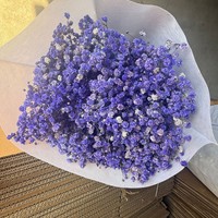 Offre Spéciale : Fleurs de Gypsophile Préservées, Bouquet Million Stars Séché, Fleur Naturelle Faite à la Main pour Mariage et Décoration Intérieure